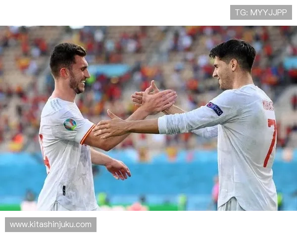 瑞典对波兰附加赛门票告罄 瑞典对波兰附加赛门票告罄